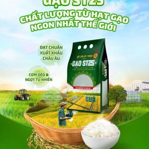 Gạo ST25 Lúa Tôm Vinaseed túi 5kg-cơm mềm, dẻo dai, mùi thơm tự nhiên